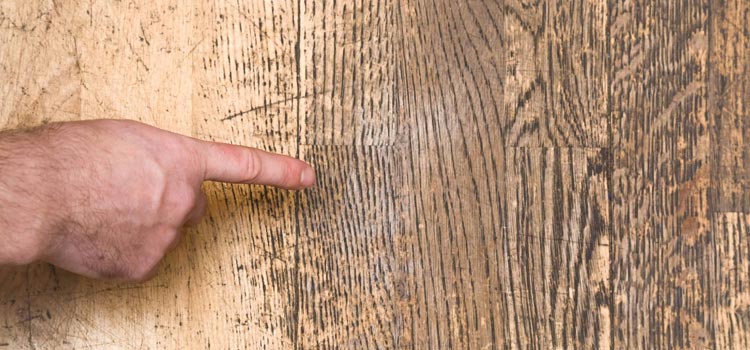 Wood Door Scratch Repair in Vineyard